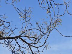 -汉长安城未央宫国家考古遗址公园