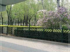 -元大都城垣遗址公园