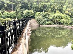 -九龙潭景区