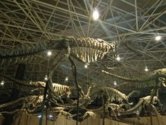 -世界恐龙谷景区