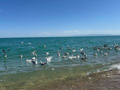 -青海湖二郎剑景区