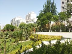-雁滩公园
