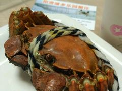 -乡乐园蟹庄·阳澄湖农家乐