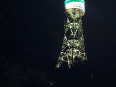 -金鸡山公园