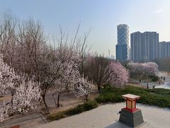 -大望京公园