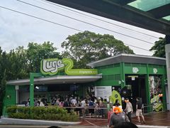 -圣淘沙天际线斜坡滑车
