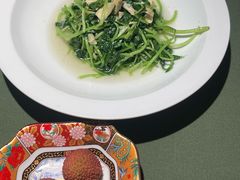 -老吉堂上海本帮菜(望京万象汇店)