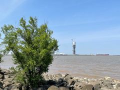 -上海吴淞炮台湾国家湿地公园