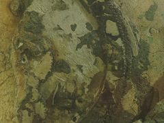 -雅典国家考古博物馆(Ethniko Archaiologiko Museo)