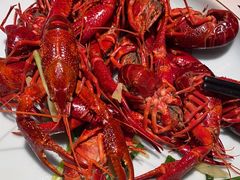 -舞虾小说.涮肉.烧烤(国顺东路店)