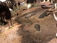 -贝林大翅鲸简餐厅(国家海洋博物馆店)