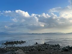 -深圳湾公园(南山区)