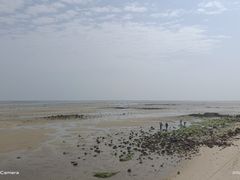 -北海金海湾红树林生态旅游区