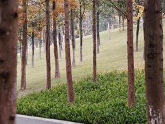 -重庆中央公园(渝北区)