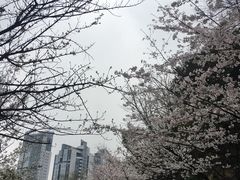 -百林公园-两江幸福广场