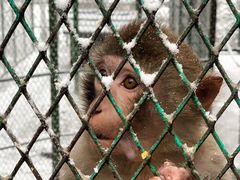 -藏龙百瀑风景区