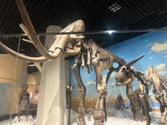 -国家自然博物馆