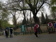 -皇家御河游(紫御湾码头)