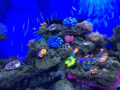 -成都浩海立方海洋公园