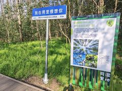 -同里国家湿地公园