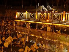 -上海市保健医疗中心