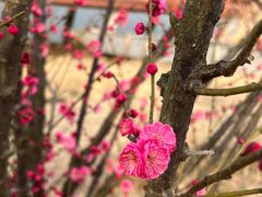 -云水涧亲子度假酒店