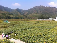 -雾灵西峰