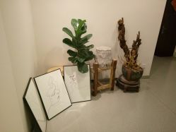-康颜SPA自然疗愈皮肤管理中心