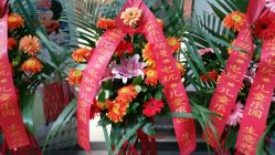 -都乐汇儿童乐园(莱蒙都会店)