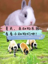 -萌宠亲子动物乐园(槐房万达店)