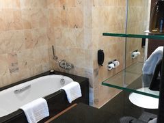 -新加坡文华东方酒店