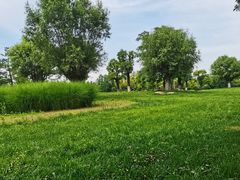 -汉长安城未央宫国家考古遗址公园