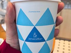 -Jamaicablue Coffeeshop(中央广场店)