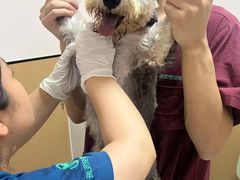 -瑞派康怡24h宠物医院·犬猫医疗中心·微创绝育(瑞景分院)