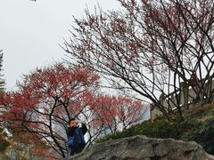 -重庆彩云湖湿地公园