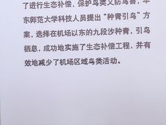 -上海长江河口科技馆