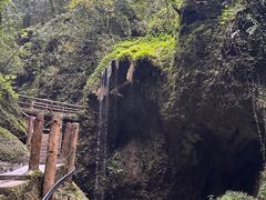 -青城山