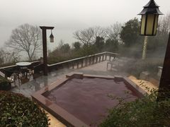 -天目湖涵田半山温泉