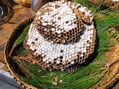-昆虫窝子·特色云南菜(拓东路总店)