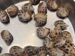 -青蓬蒸汽海鲜·深圳老字号·团建聚会(壹方城店)