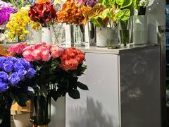 -双季花艺园艺市场(浦东店)