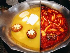 台式麻辣花胶鸡鸳鸯锅-湊湊火锅·茶憩(世博大道店)