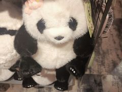 -酷乐潮玩(凯德MALL西直门店)