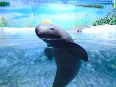 景点-郑州海洋馆