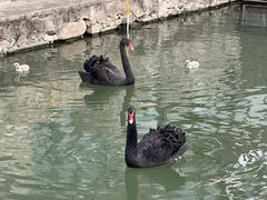 -荷塘味道(水长城店)