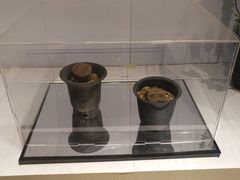 -北京植物园-展览温室