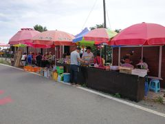 -阳台山自然风景区