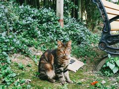 -苏州河梦清园环保主题公园