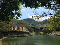 -滴水岩森林公园