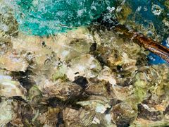 -范饭椰林川湘味海鲜·椰子鸡(三亚湾椰梦长廊店)